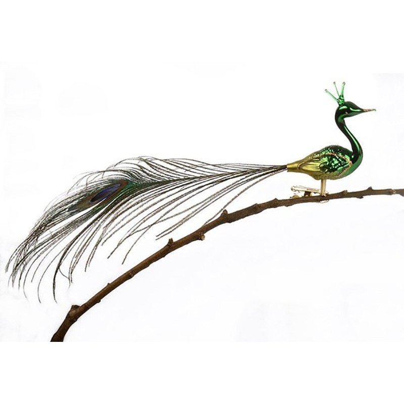 Glasfugl- Påfugl- Stor krone- grøn