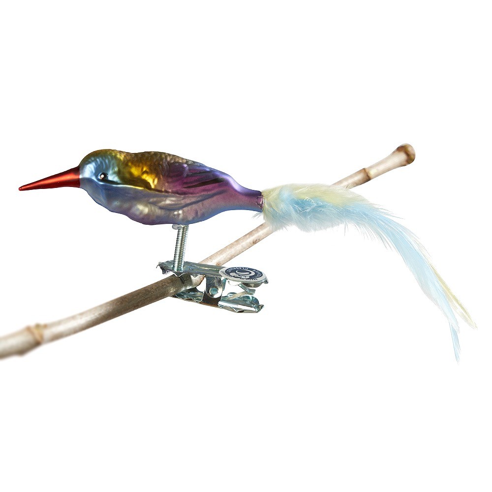 Glasfugl- Kolibri