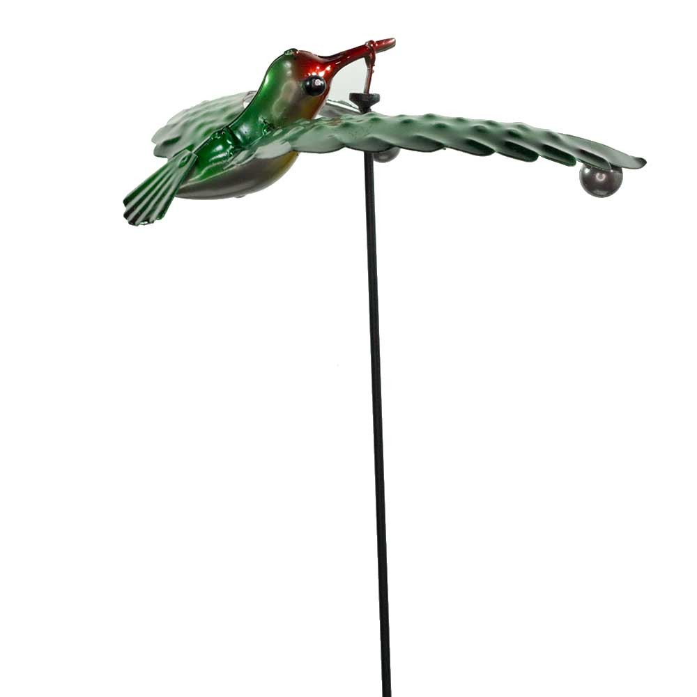 Balancefugl-Kolibri