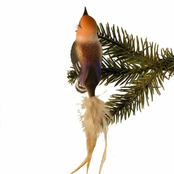 Glasfugl- Kernebidder