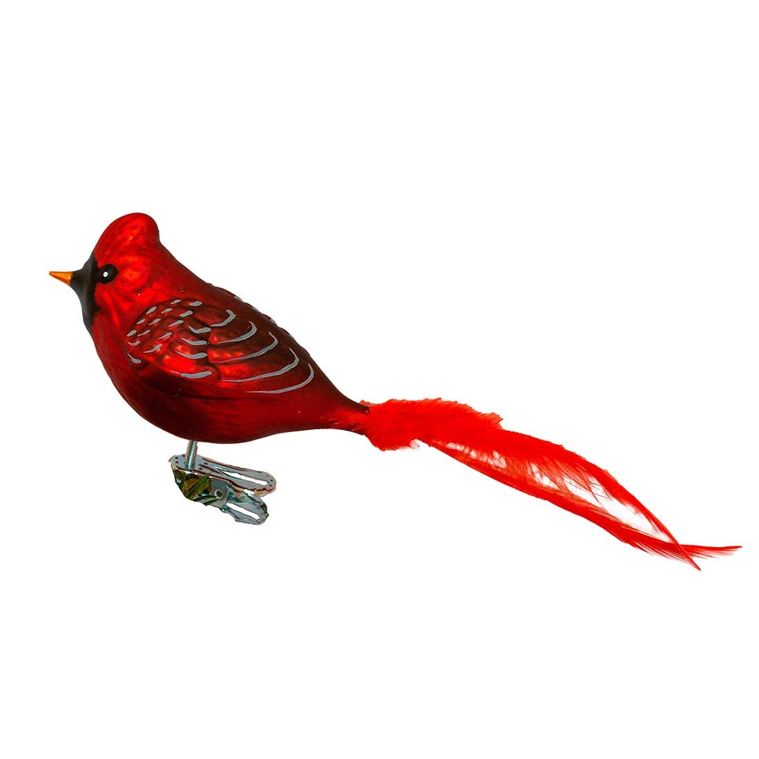 Glasfugl- Rød Kardinal