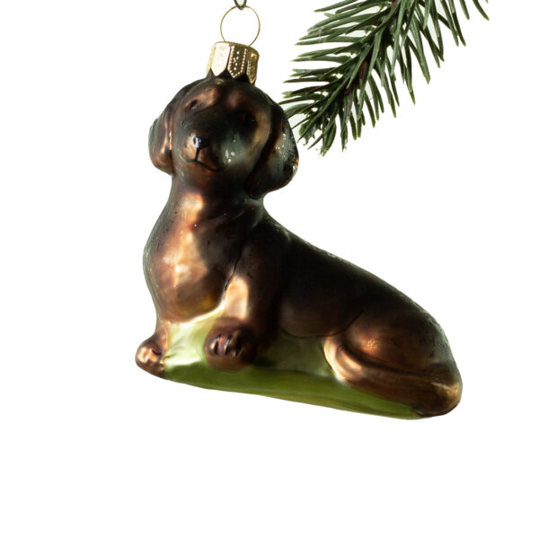 Glaspynt- Gravhund- Brun
